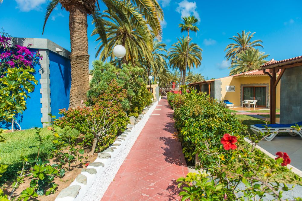 Miraflorgrancanaria008